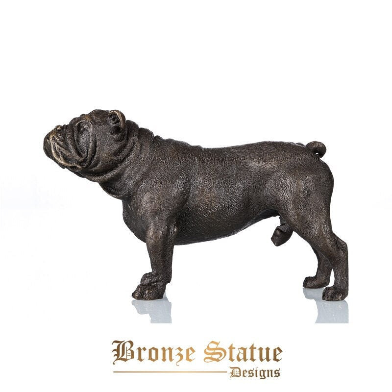 Bulldog statue pet dog animal sculpture brass full color modern small figurine artwork home office table decor